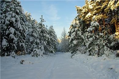 Bioware：《质量效应4》进入早期开发 《龙腾世纪4》找到合适开发工具